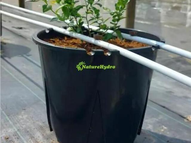 Berry Grow Pots Wholesale