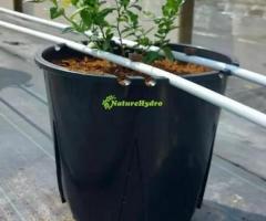 Berry Grow Pots Wholesale